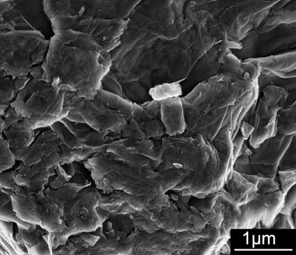 Scanning electron microscopy image of graphene oxide, GO