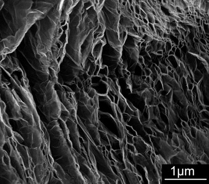 Scanning electron microscopy image of microwave-reduced graphene oxide, rGO